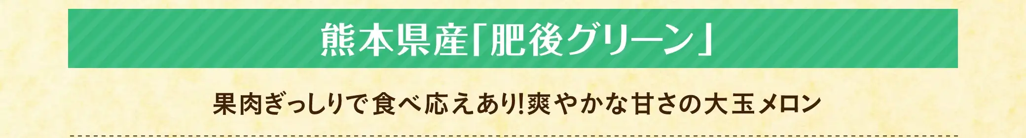 熊本県産「肥後グリーン」：果肉ぎっしりで食べ応えあり！爽やかな甘さの大玉メロン