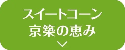 福岡県京築産 スイートコーン京築の恵みはこちら