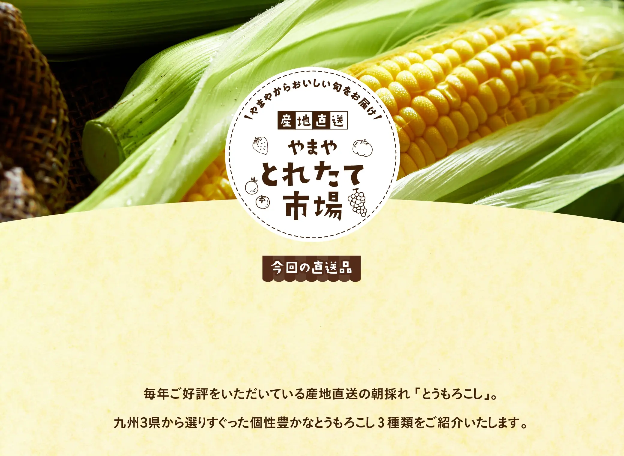 やまやからおいしい旬をお届け！産地直送やまやとれたて市場【今回の直送品】宮崎県産 ゴールドラッシュ、福岡県京築産 スイートコーン京築の恵み、大分県竹田産 すごあまコーン