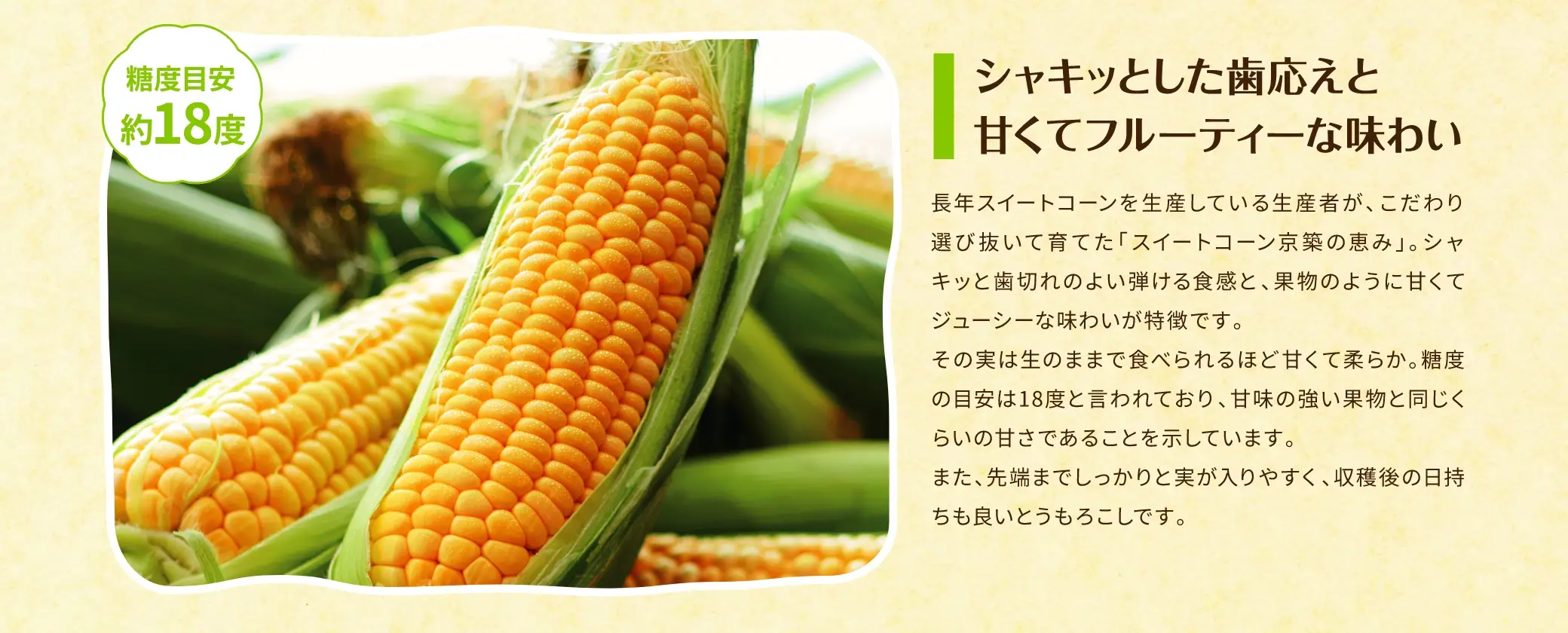 【糖度目安 約18度】シャキッとした歯応えと、甘くてフルーティーな味わい