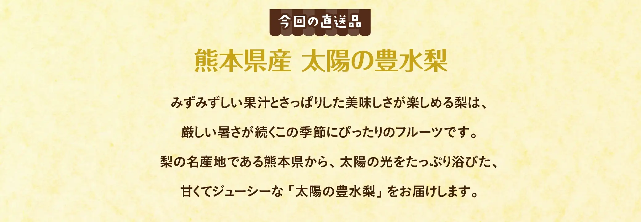 みずみずしい果汁とさっぱりした美味しさが楽しめる梨は、厳しい暑さが続くこの季節にぴったりのフルーツです。梨の名産地である熊本県から、太陽の光をたっぷり浴びた、甘くてジューシーな「太陽の豊水梨」をお届けします。