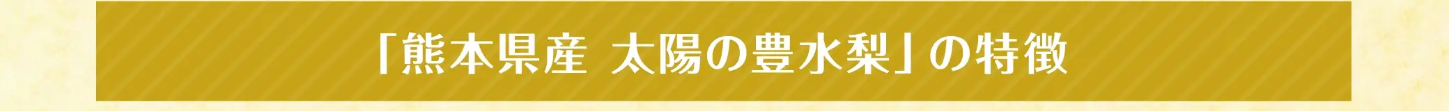 「熊本県産 太陽の豊水梨」の特徴