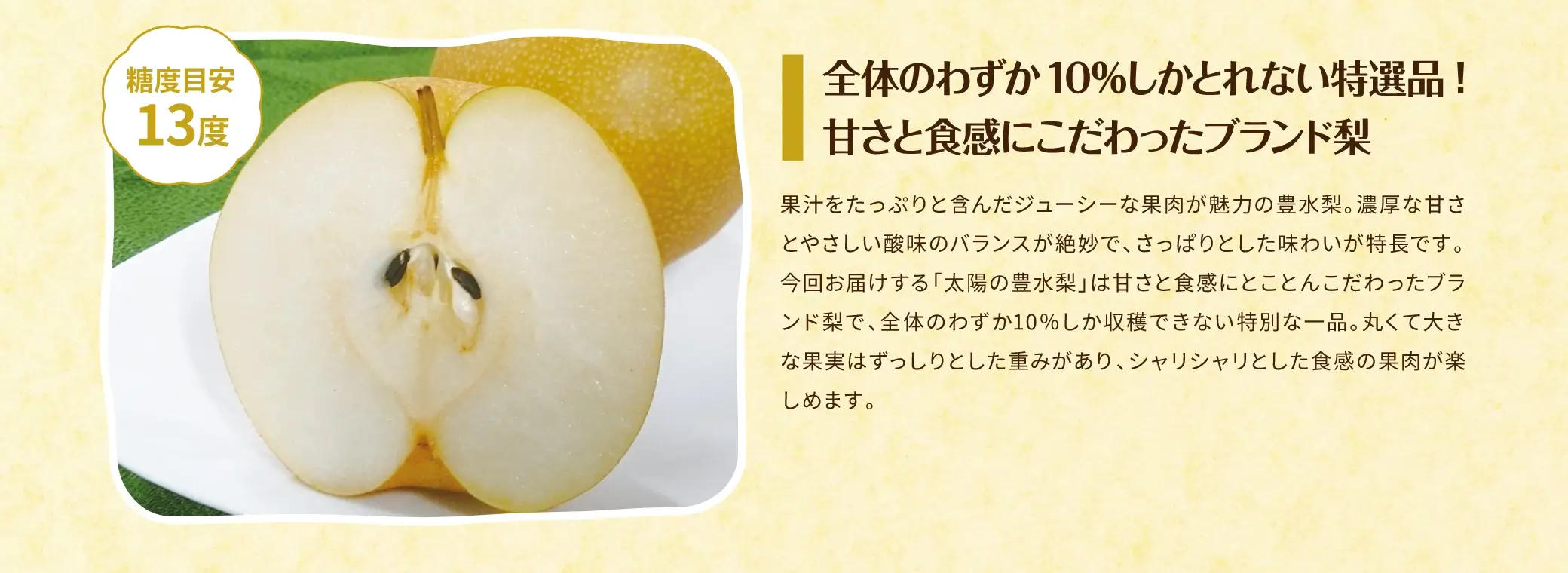 全体のわずか10%しかとれない特選品！甘さと食感にこだわったブランド梨／果汁をたっぷりと含んだジューシーな果肉が魅力の豊水梨。濃厚な甘さとやさしい酸味のバランスが絶妙で、さっぱりとした味わいが特長です。今回お届けする「太陽の豊水梨」は甘さと食感にとことんこだわったブランド梨で、全体のわずか10％しか収穫できない特別な一品。丸くて大きな果実はずっしりとした重みがあり、シャリシャリとした食感の果肉が楽しめます。