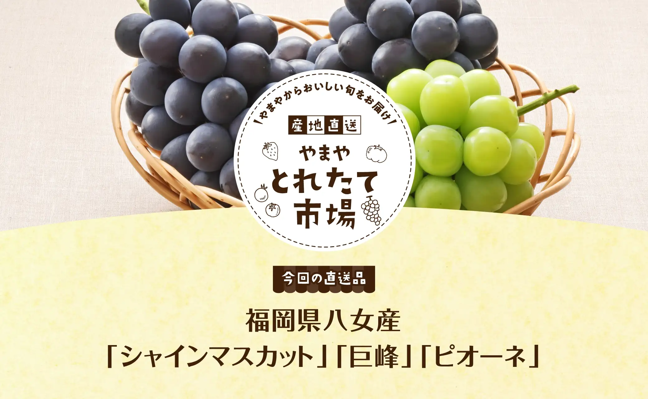 やまやからおいしい旬をお届け！産地直送やまやとれたて市場【今回の直送品】福岡県八女産「シャインマスカット」「巨峰」「ピオーネ」
