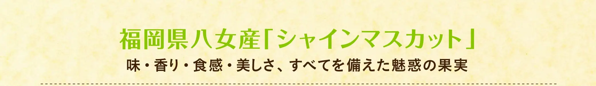 福岡県八女産「シャインマスカット」【特徴】味・香り・食感・美しさ、すべてを備えた魅惑の果実