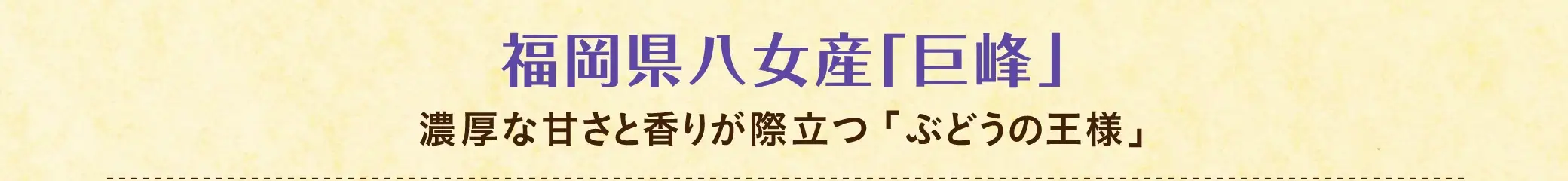 福岡県八女産「巨峰」【特徴】濃厚な甘さと香りが際立つ「ぶどうの王様」