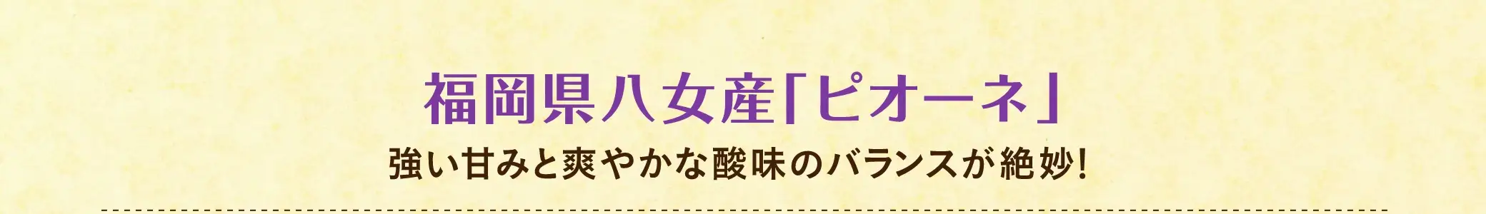 福岡県八女産「ピオーネ」【特徴】強い甘みと爽やかな酸味のバランスが絶妙！