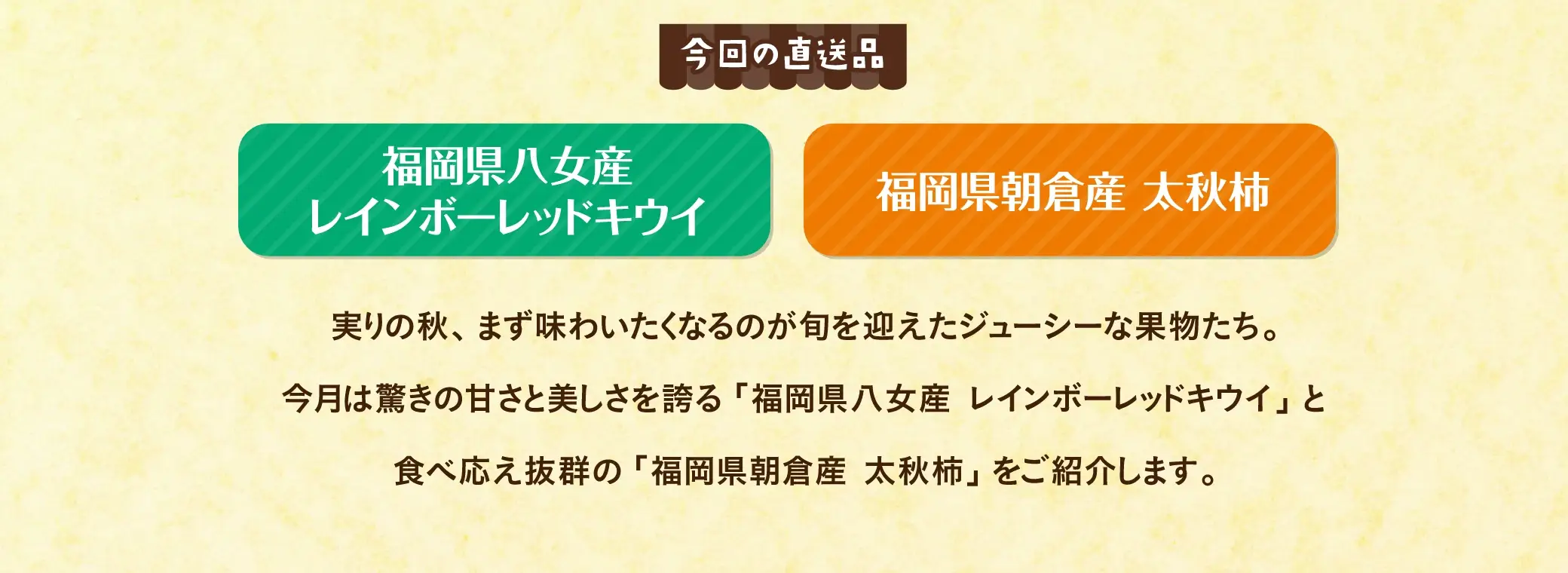 【今回の直送品】福岡県八女産 レインボーレッドキウイ、福岡県朝倉産 太秋柿