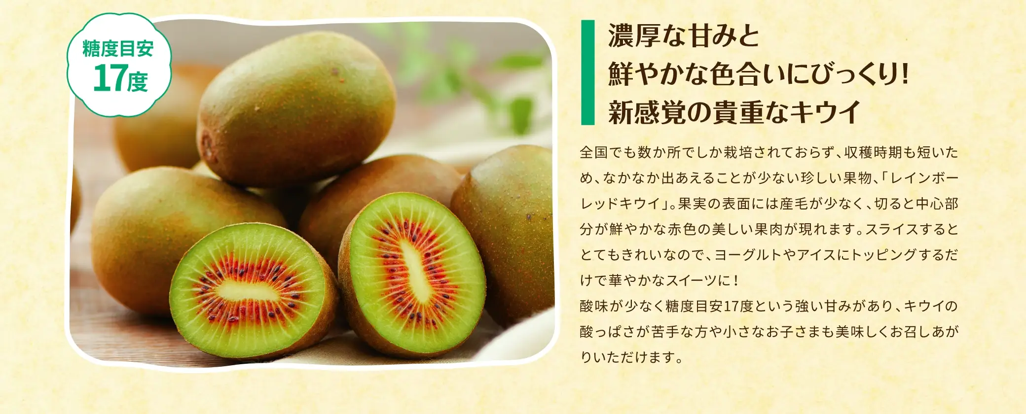 濃厚な甘みと鮮やかな色合いにびっくり！新感覚の貴重なキウイ