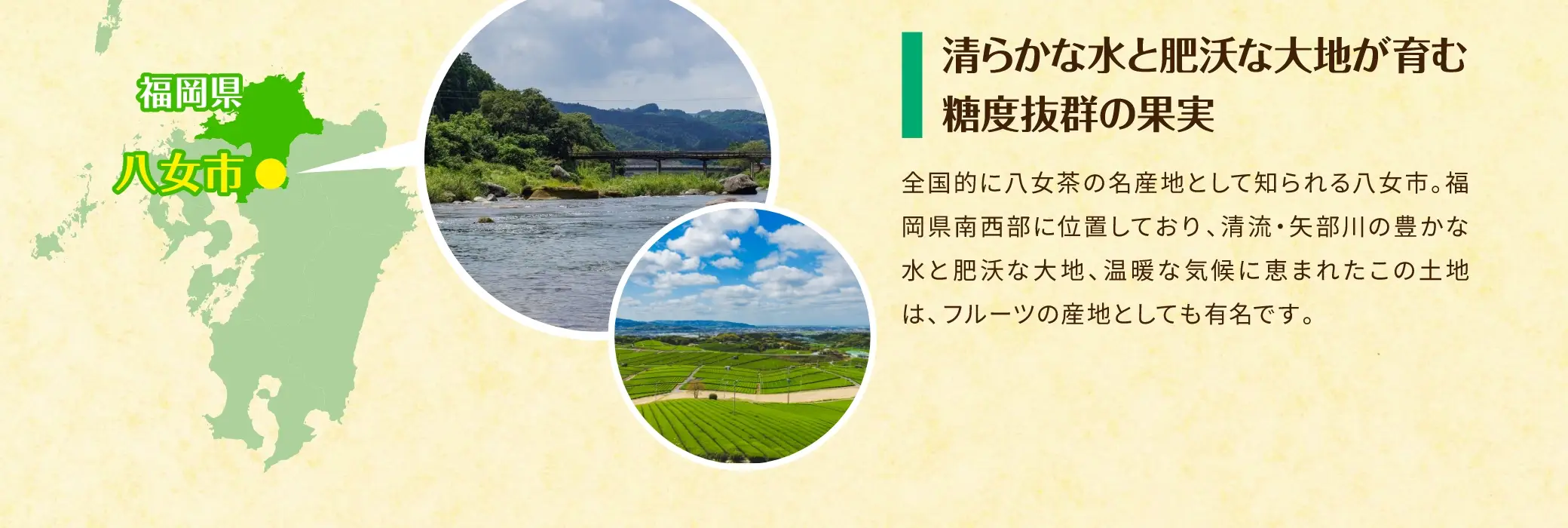 清らかな水と肥沃な大地が育む糖度抜群の果実