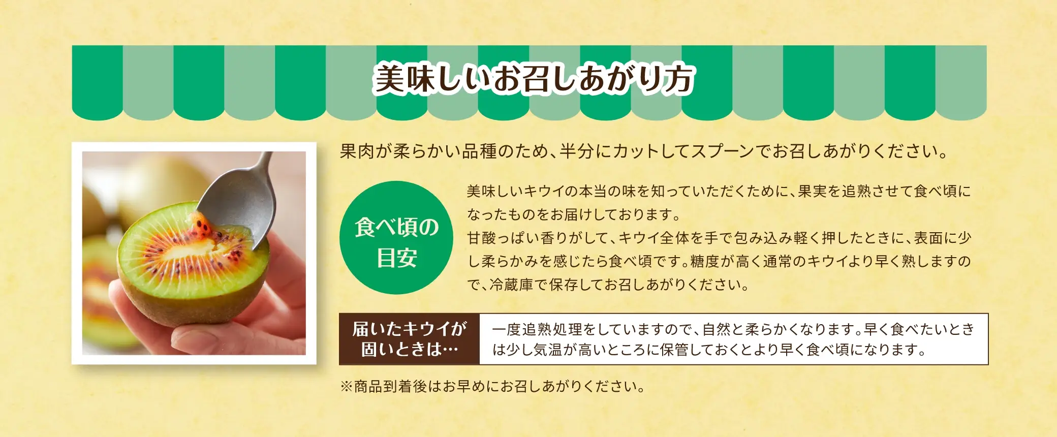 【美味しいお召しあがり方】果肉が柔らかい品種のため、半分にカットしてスプーンでお召しあがりください。【食べ頃の目安】美味しいキウイの本当の味を知っていただくために、果実を追熟させて食べ頃になったものをお届けしております。
甘酸っぱい香りがして、キウイ全体を手で包み込み軽く押したときに、表面に少し柔らかみを感じたら食べ頃です。糖度が高く通常のキウイより早く熟しますので、冷蔵庫で保存してお召しあがりください。