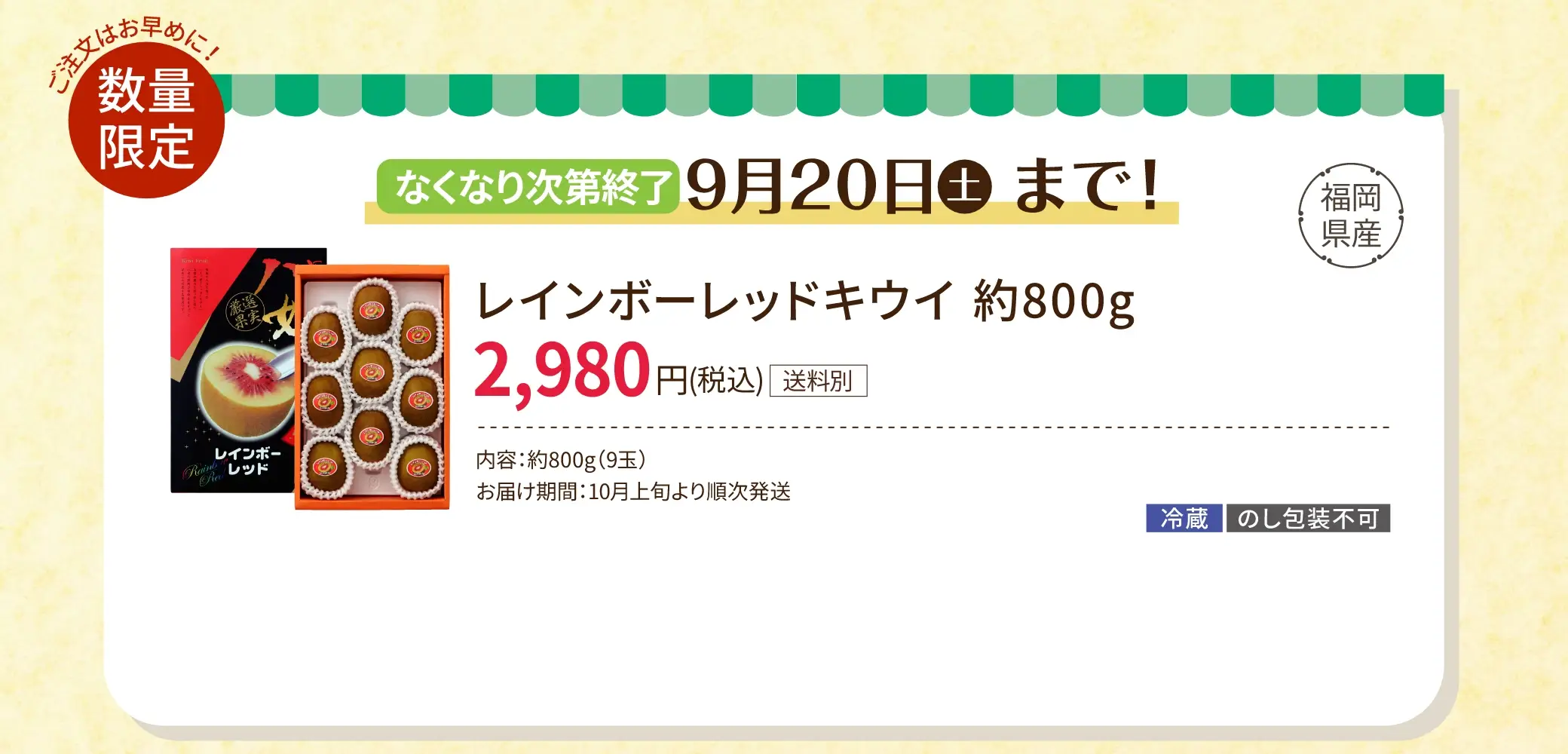 なくなり次第受付終了 9/20(土)まで！レインボーレッドキウイ 約800g 2,980円(税込/送料別)