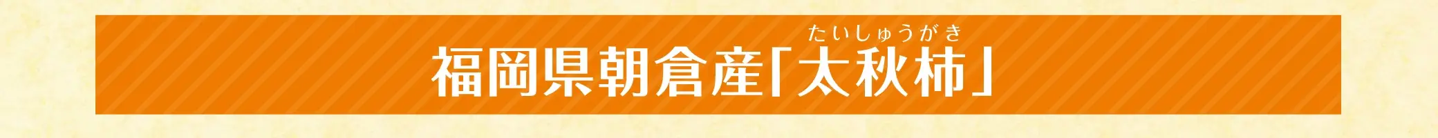 福岡県朝倉産 太秋柿