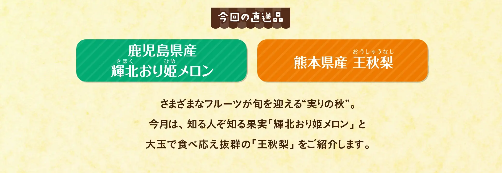 【今回の直送品】鹿児島県産 輝北おり姫メロン、熊本県産 王秋梨