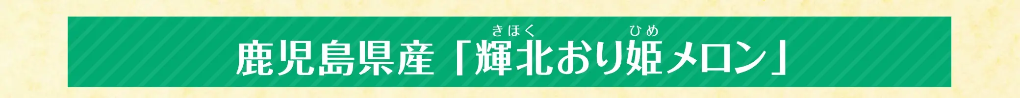 鹿児島県産 輝北おり姫メロン
