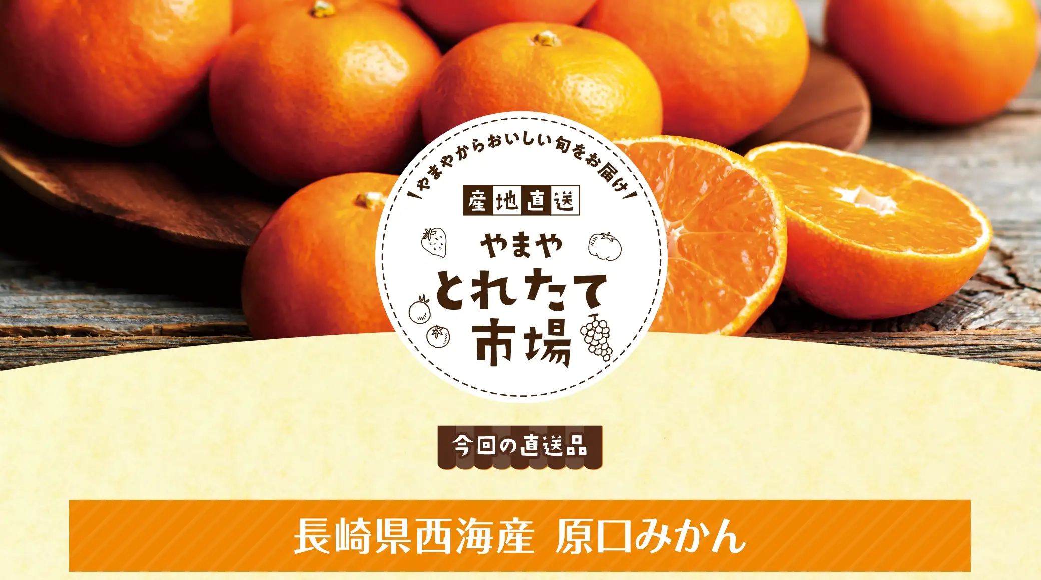 産地直送 やまや とれたて市場【今回の直送品】長崎県西海産 原口みかん