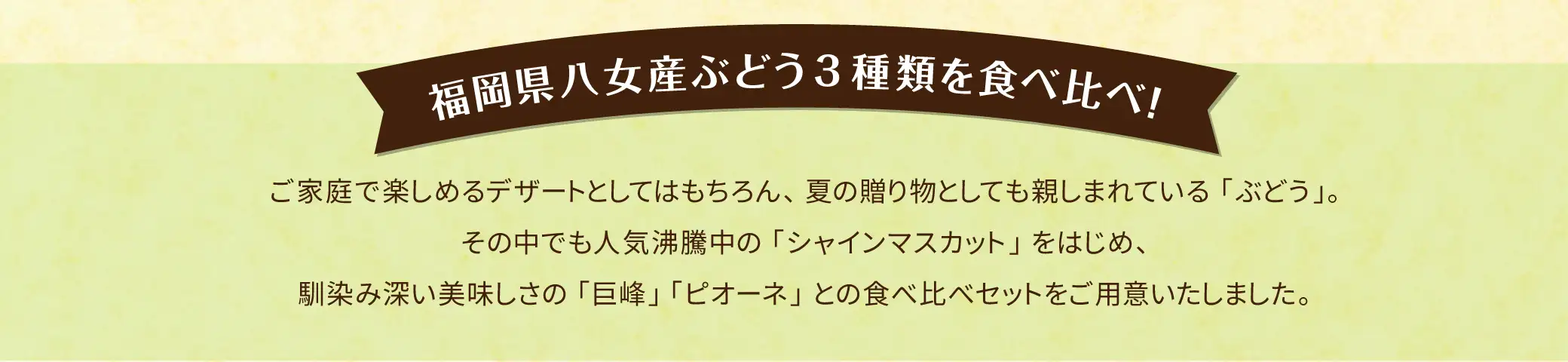 福岡県八女産ぶどう３種類を食べ比べ！ご家庭で楽しめるデザートとしてはもちろん、夏の贈り物としても親しまれている「ぶどう」。その中でも人気沸騰中の「シャインマスカット」をはじめ、馴染み深い美味しさの「巨峰」「ピオーネ」との食べ比べセットをご用意いたしました。