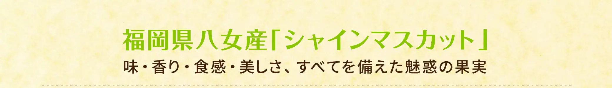 福岡県八女産「シャインマスカット」【特徴】味・香り・食感・美しさ、すべてを備えた魅惑の果実
