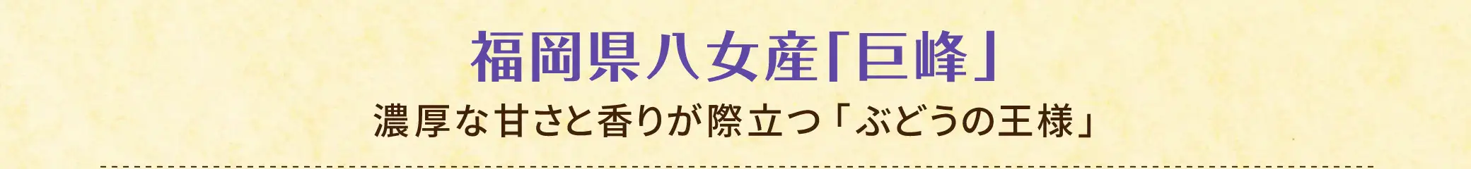 福岡県八女産「巨峰」【特徴】濃厚な甘さと香りが際立つ「ぶどうの王様」