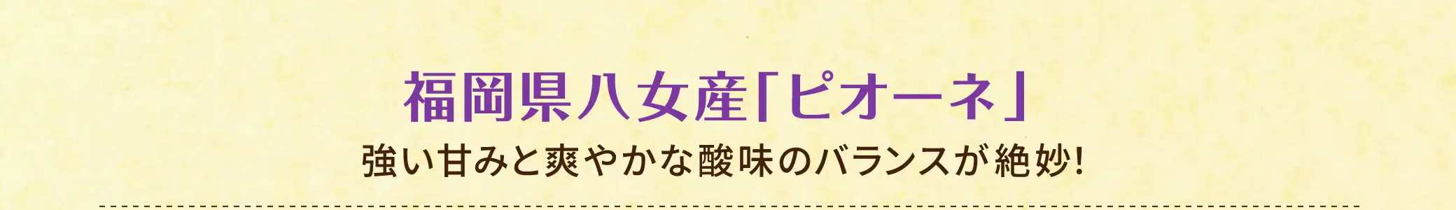 福岡県八女産「ピオーネ」【特徴】強い甘みと爽やかな酸味のバランスが絶妙！