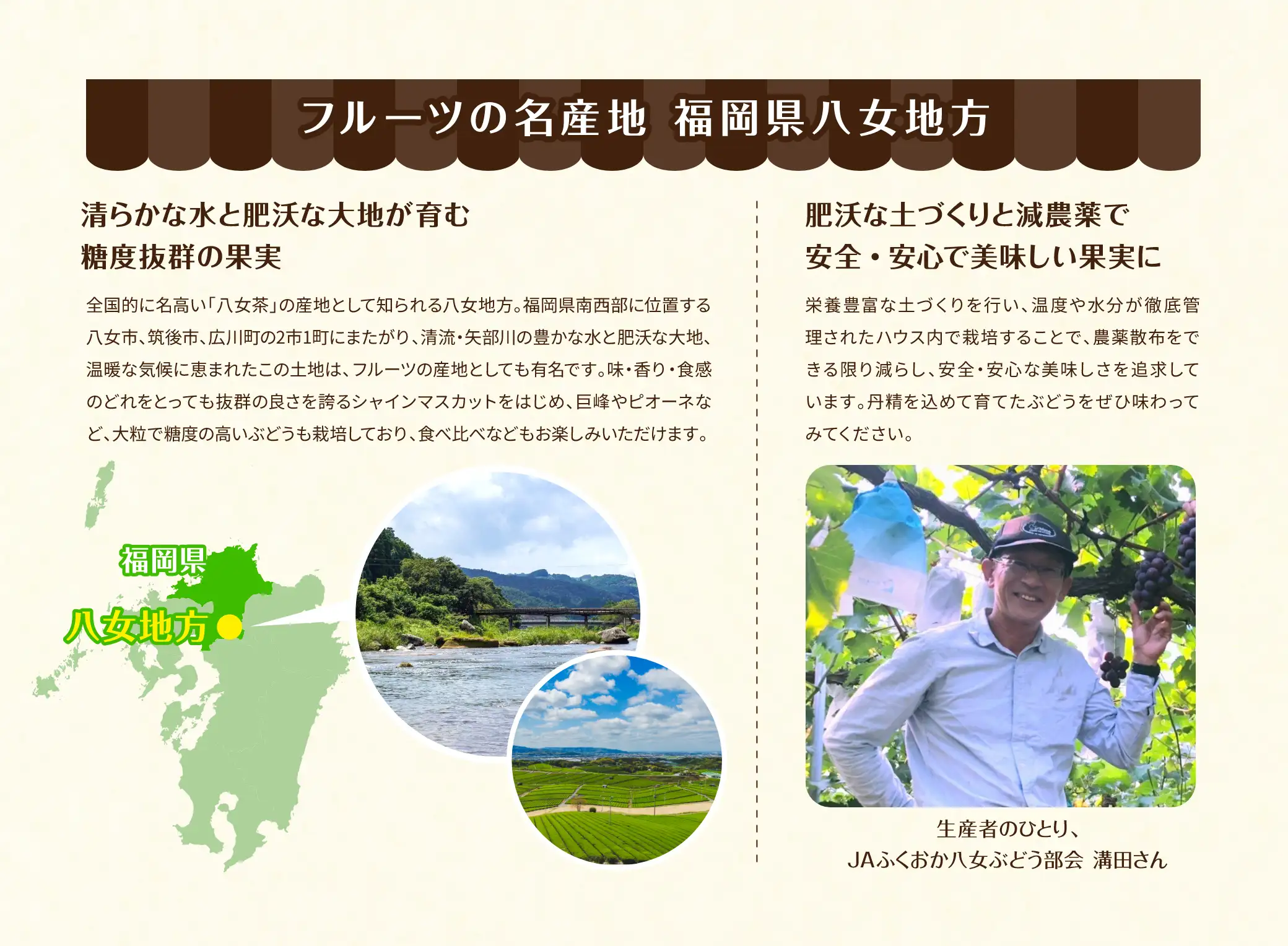フルーツの名産地 福岡県八女市：清らかな水と肥沃な大地が育む糖度抜群の果実！肥沃な土づくりと減農薬で安全・安心で美味しい果実に！