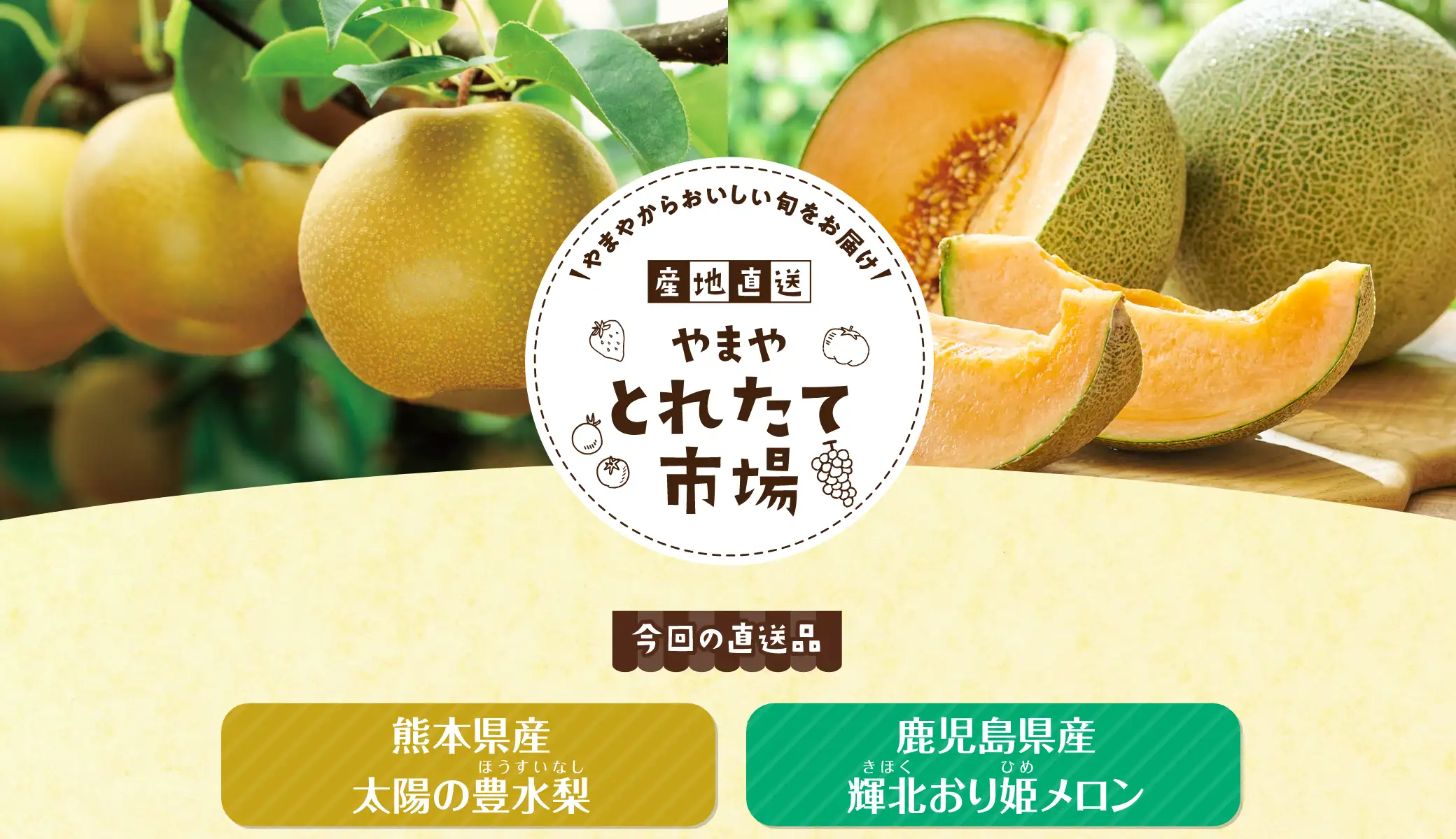 やまやからおいしい旬をお届け！産地直送やまやとれたて市場【今回の直送品】熊本県産 太陽の豊水梨(ほうすいなし)、鹿児島県産 輝北おり姫メロン(きほくおりひめメロン)