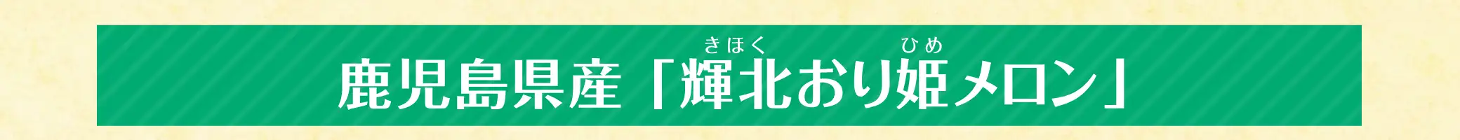 鹿児島県産「輝北おり姫メロン(きほくおりひめメロン)」