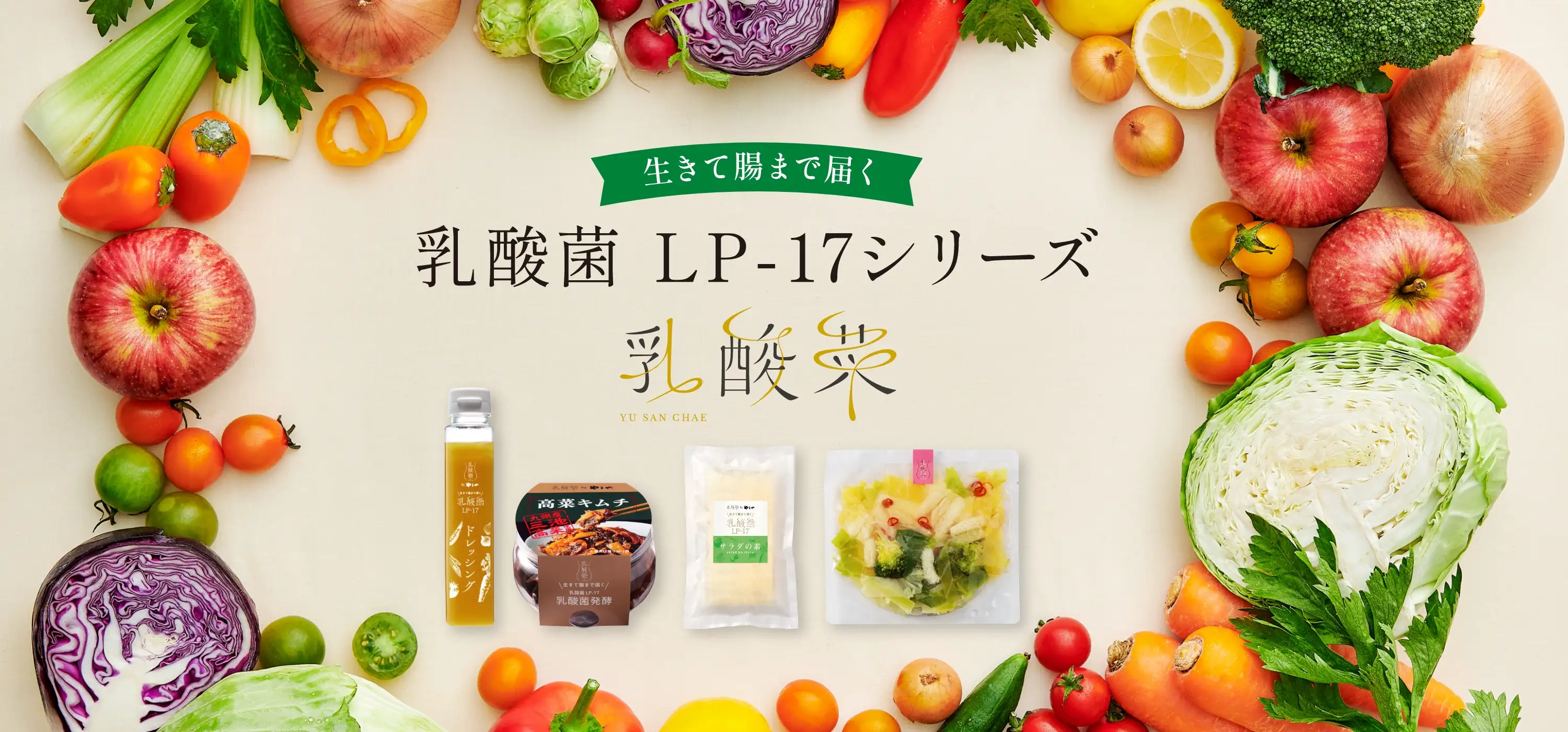 生きて腸まで届く「乳酸菌 LP-17シリーズ」乳酸菜(ユサンチェ)