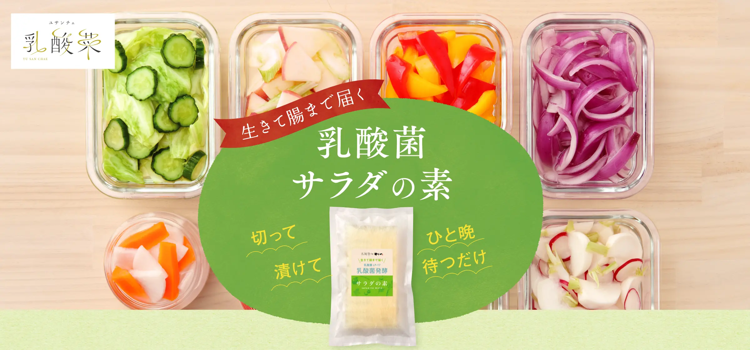 生きて腸まで届く「乳酸菌サラダの素」