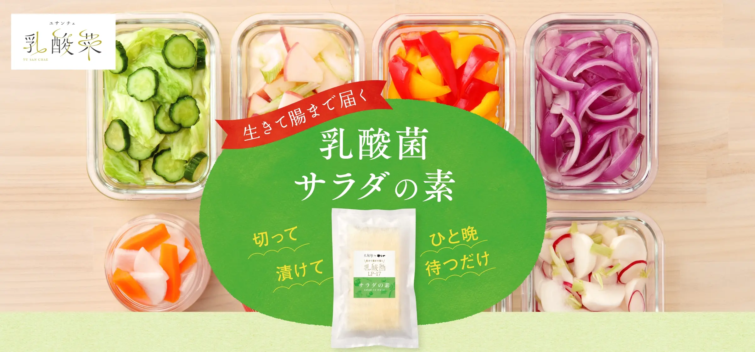 生きて腸まで届く「乳酸菌サラダの素」