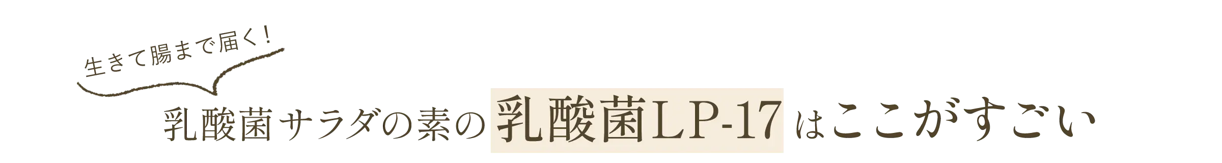 生きて腸まで届く「乳酸菌サラダの素」の「乳酸菌LP-17」はここがすごい！