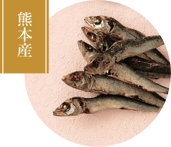うるめ鰯節