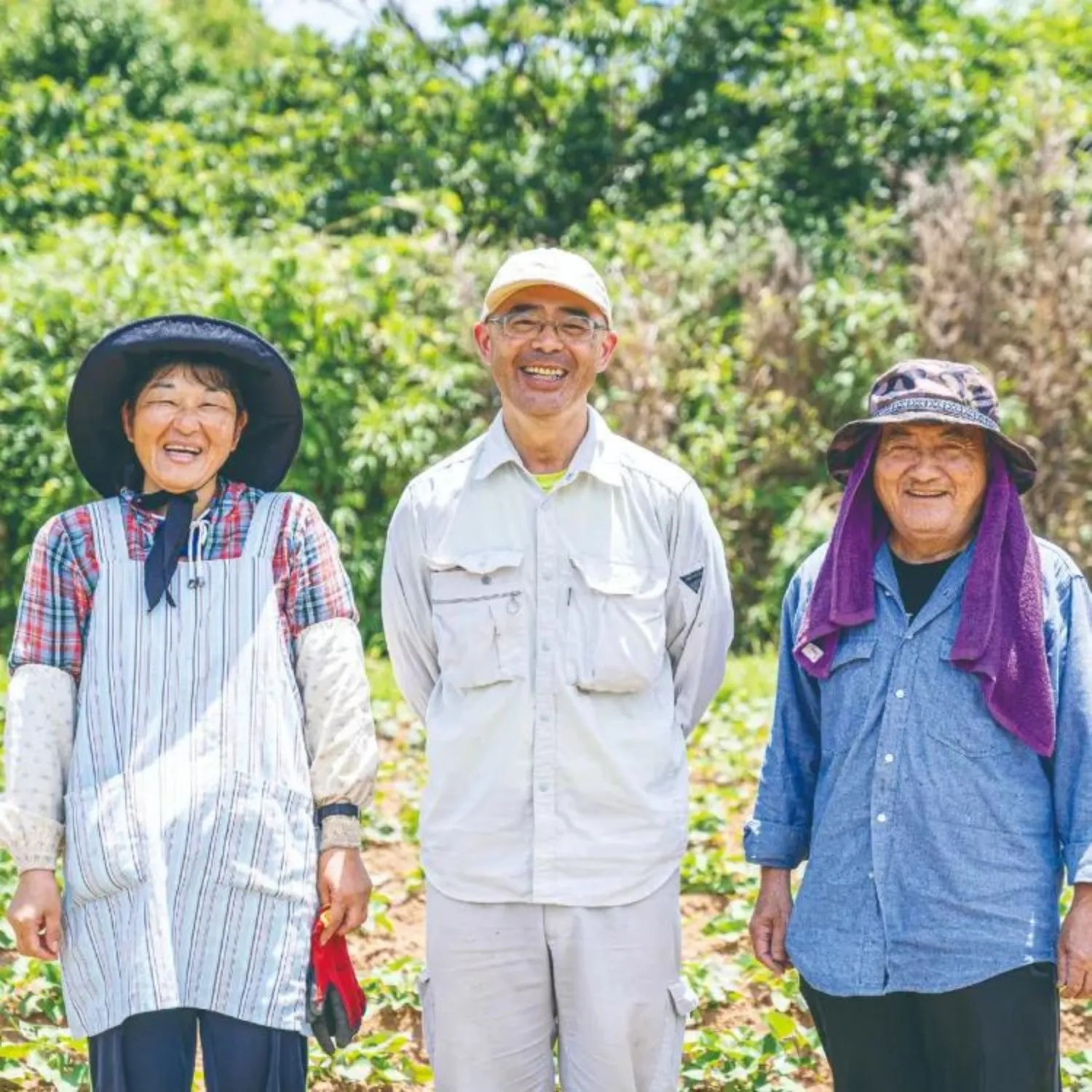 2年連続で日本一!黄金色の甘い安納芋
