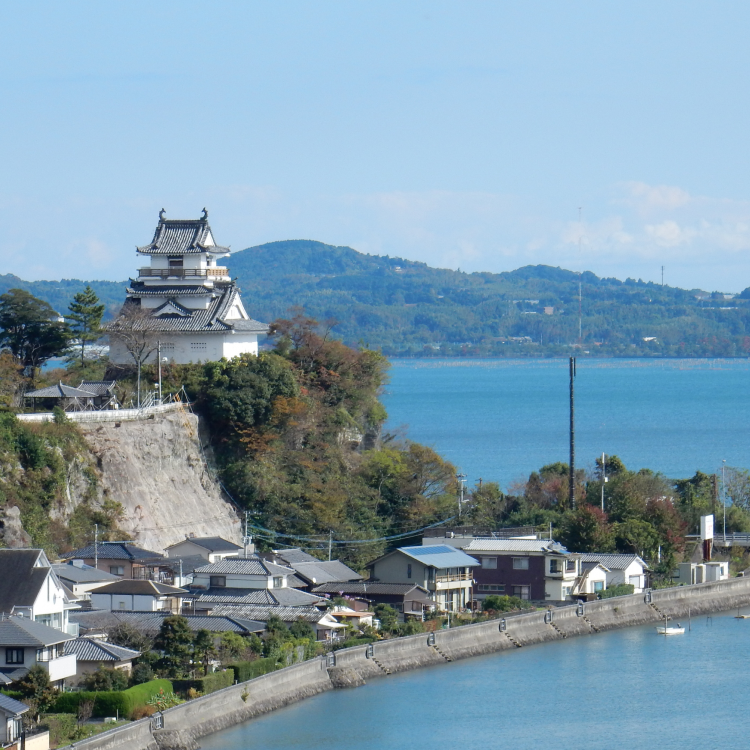 豊後水道で育った新鮮な魚を使用