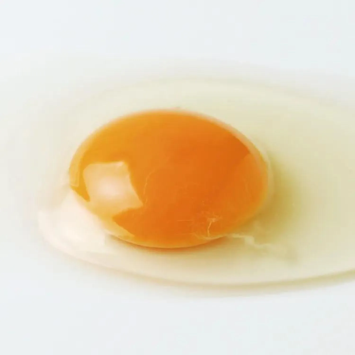 新鮮な卵を使用し、伝統の技で焼き上げたカステラ