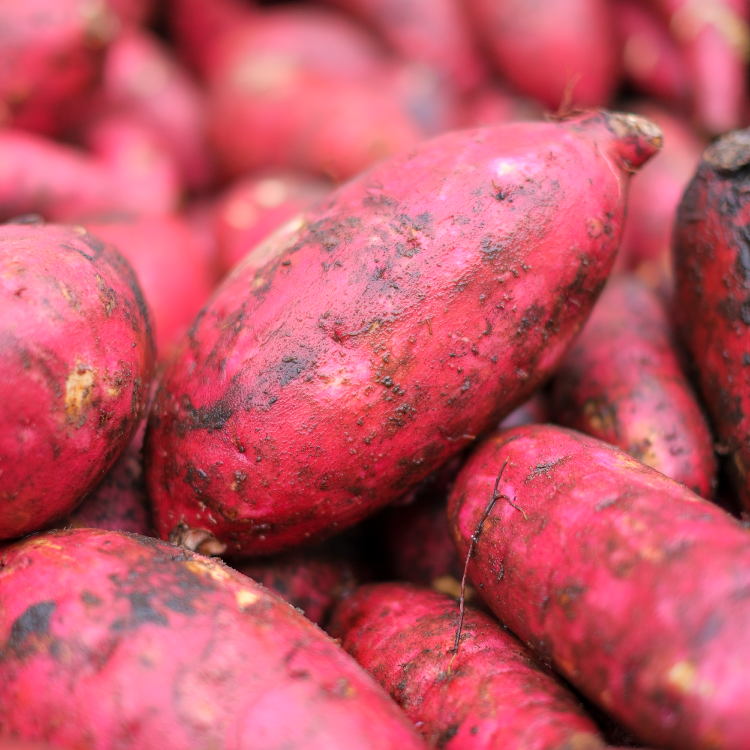 九州産さつまいも