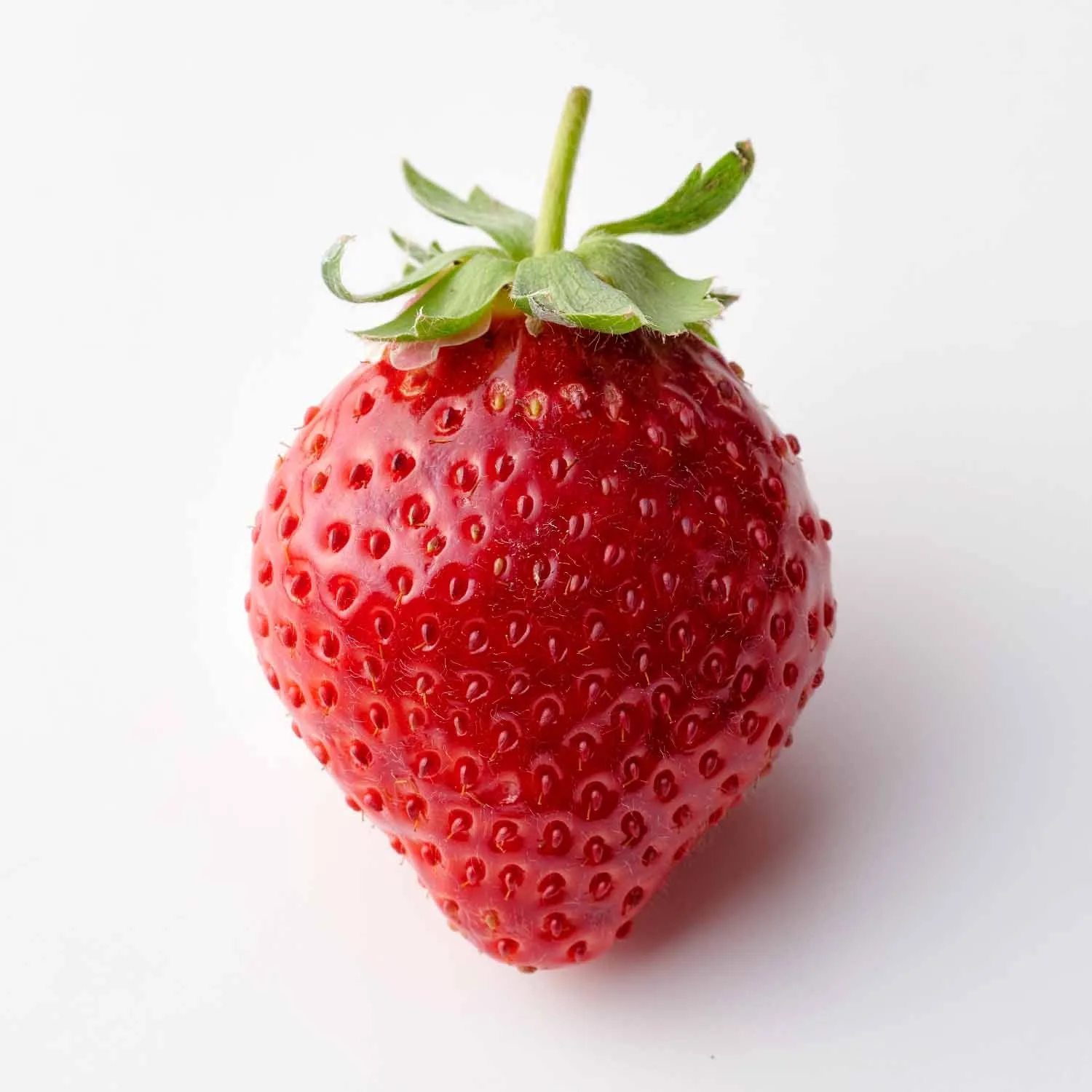 福岡のブランドいちご「あまおう」