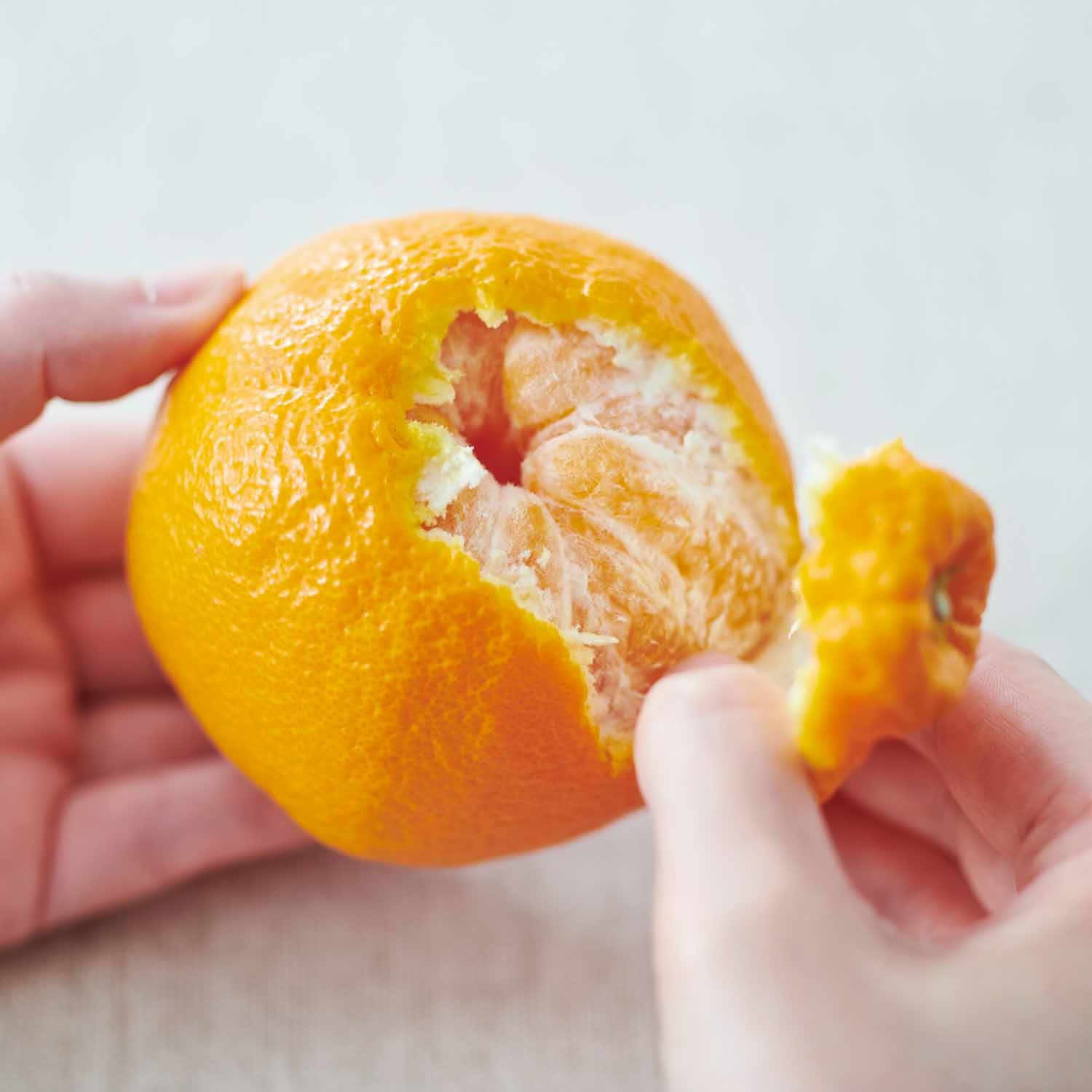 食べやすさが人気