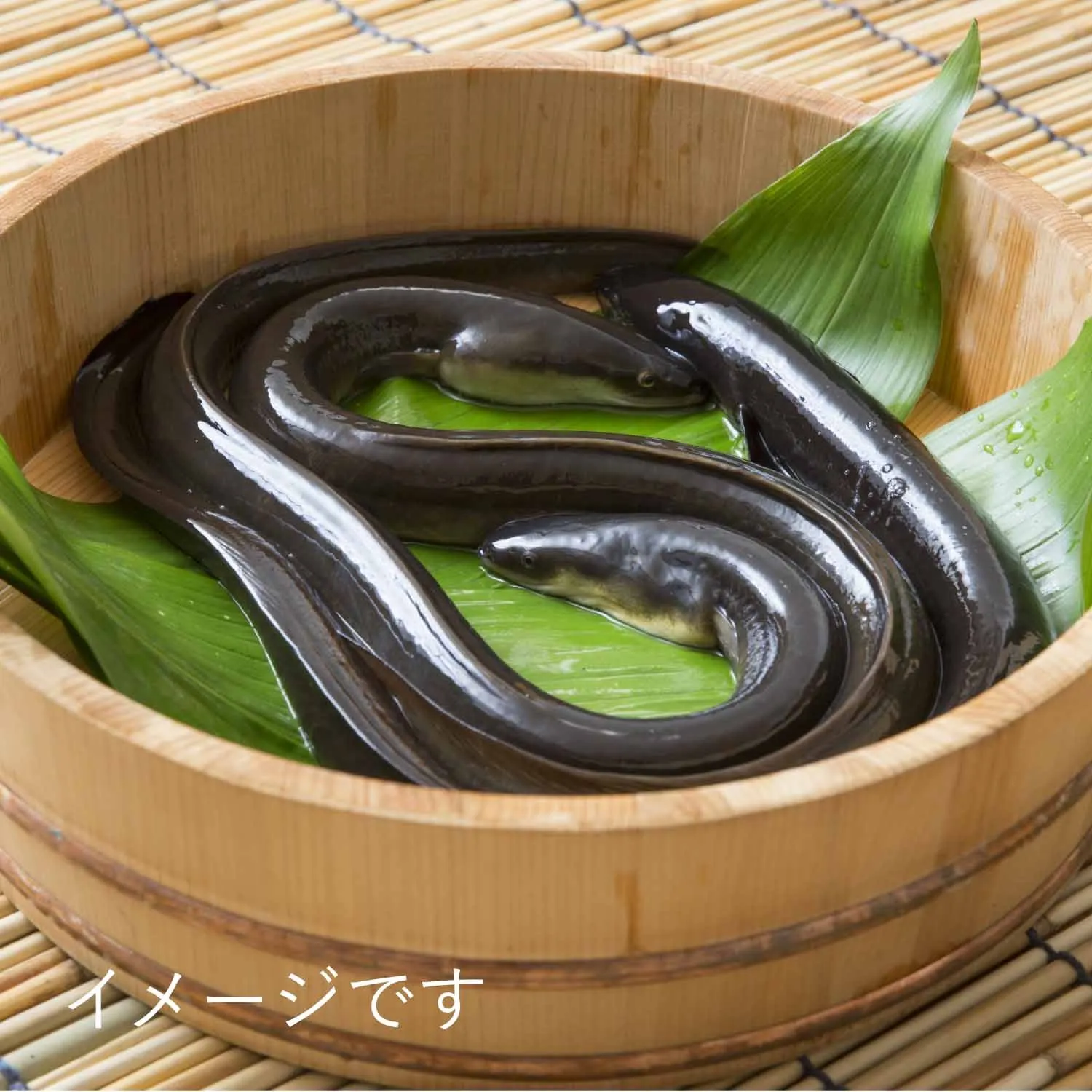 「無薬養鰻」にこだわった鰻