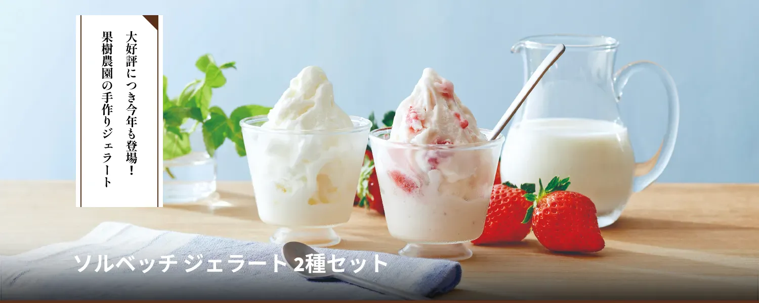 ソルベッチ ジェラート 2種セット