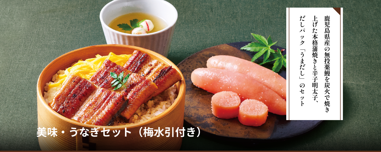 美味・うなぎセット[水引付]
