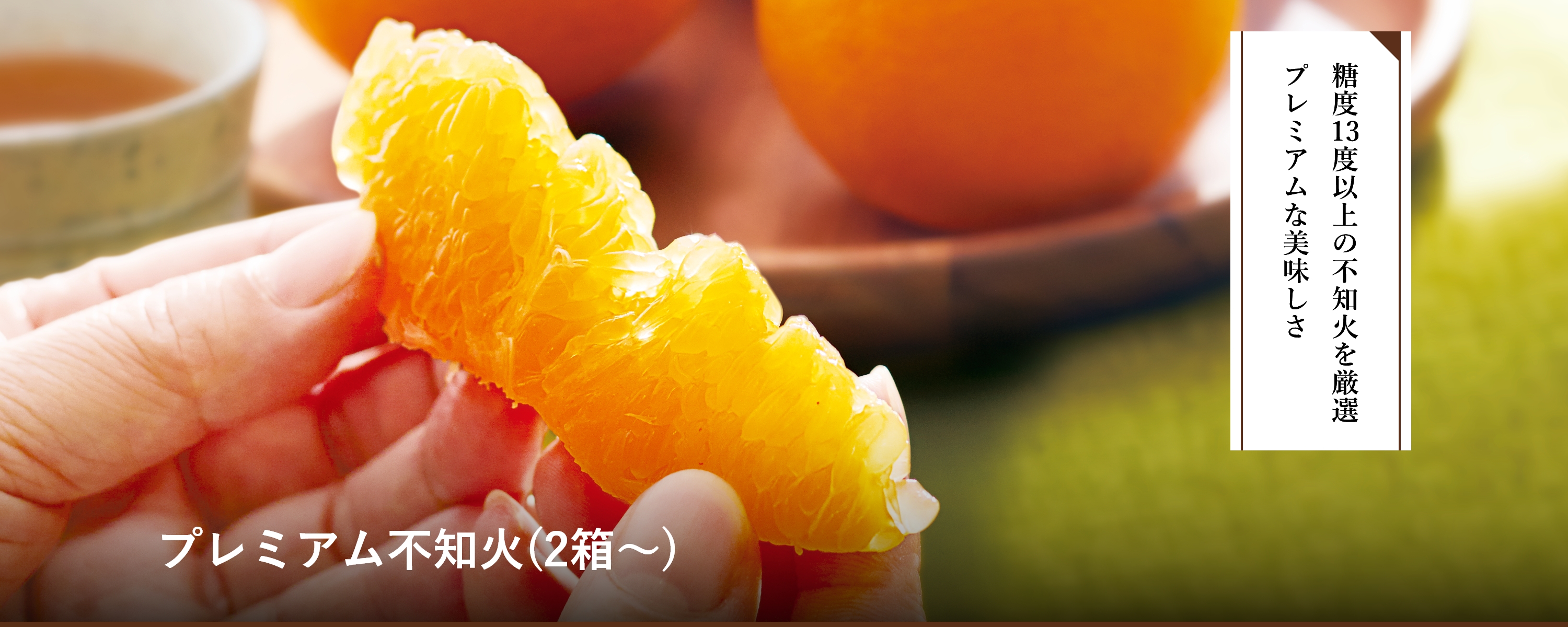 プレミアム不知火(2箱～)