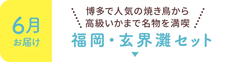 【6月お届け】博多で人気の焼き鳥から高級いかまで名物を満喫！福岡・玄界灘セット